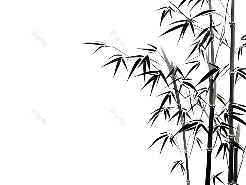 叶子图片,元素元素,插画PNG,竹子免抠素材
